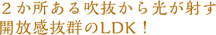 2箇所ある吹き抜けから光が差す開放感抜群のLDK